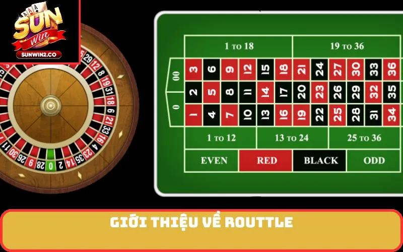 Giới Thiệu Về Routtle