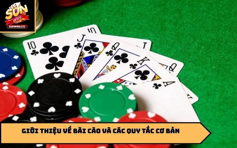 Giới thiệu về bài cào và các quy tắc cơ bản