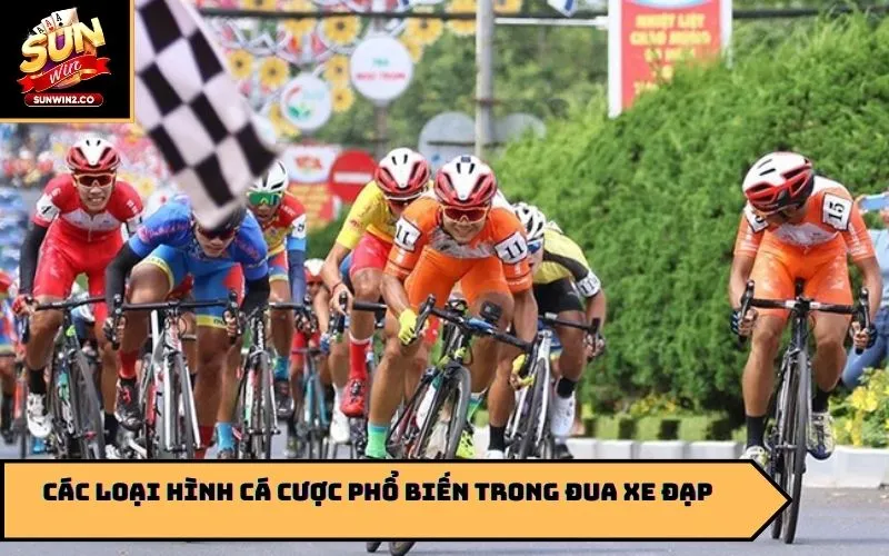 Các loại hình cá cược phổ biến trong đua xe đạp