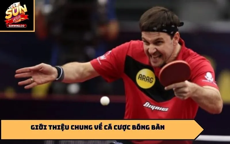 Giới thiệu chung về cá cược bóng bàn