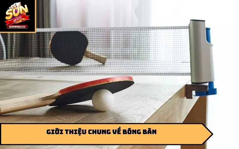 Giới thiệu chung về bóng bàn