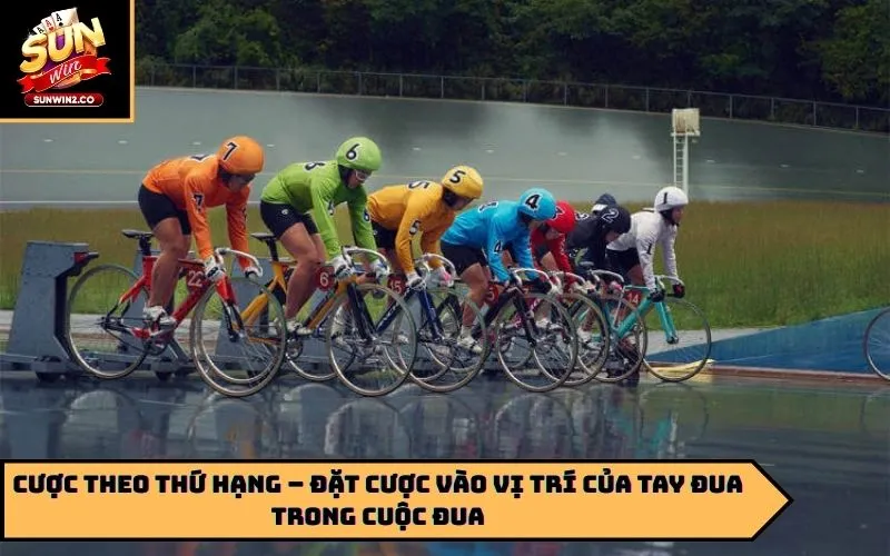 Cược theo thứ hạng – Đặt cược vào vị trí của tay đua trong cuộc đua