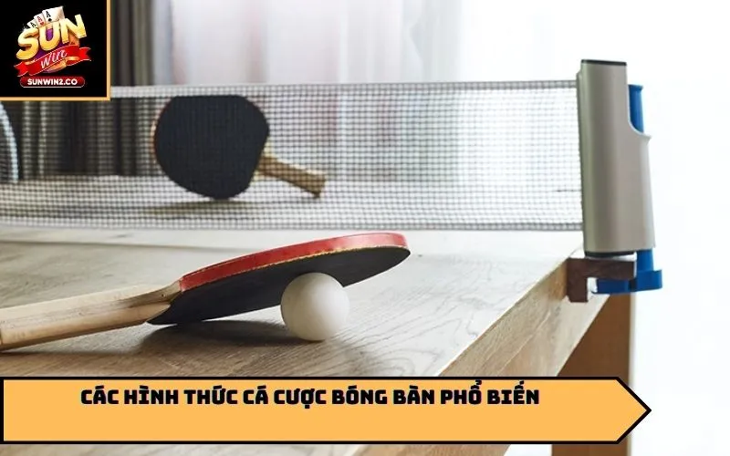 Các hình thức cá cược bóng bàn phổ biến