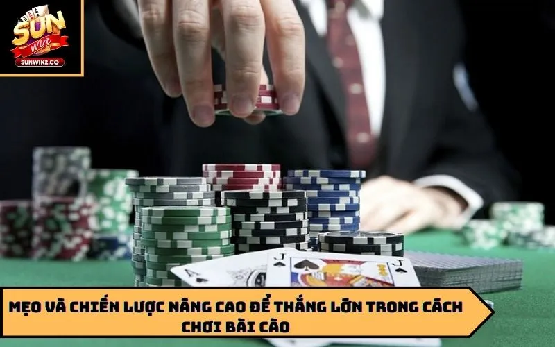 Mẹo và chiến lược nâng cao để thắng lớn trong cách chơi bài cào