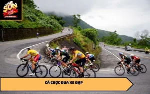 Cá cược đua xe đạp