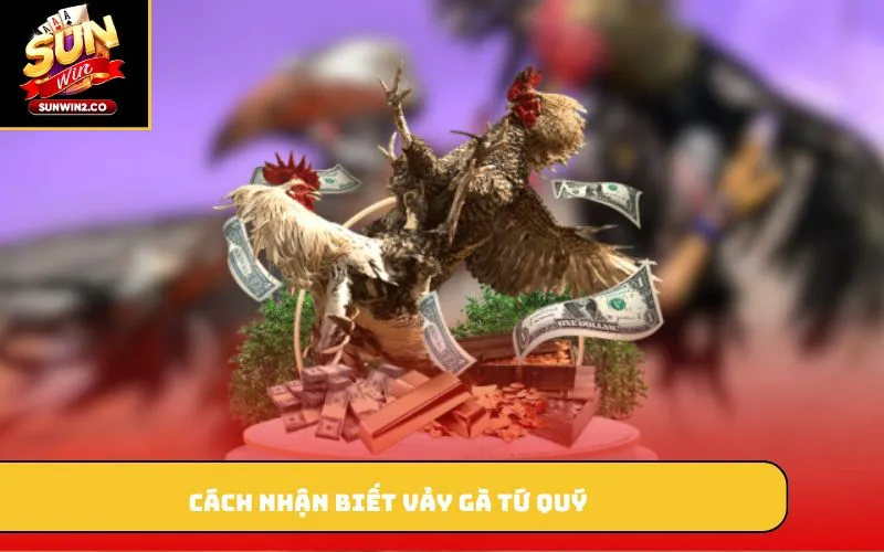 Cách nhận biết vảy gà tứ quý