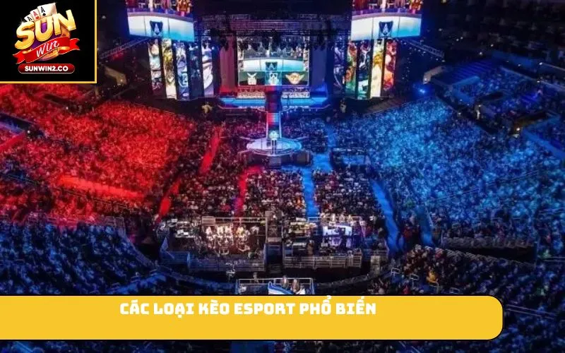 Các loại kèo Esport phổ biến