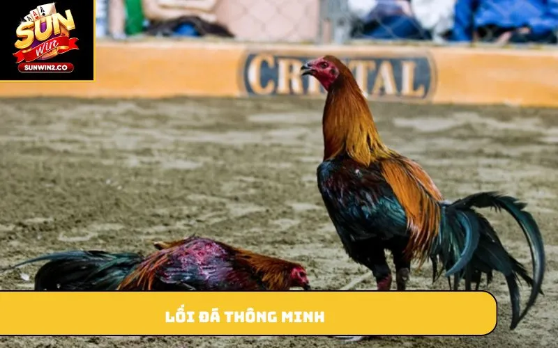 Lối đá thông minh