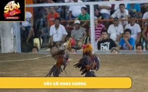 vảy gà khai vương