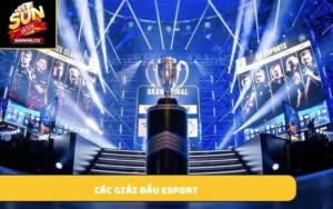 Các giải đấu Esport